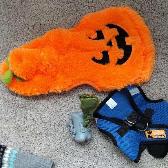 Small Dog Clothing Bundle - Picture 4 of 4